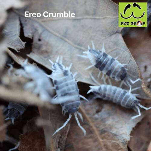 Ereo Crumble